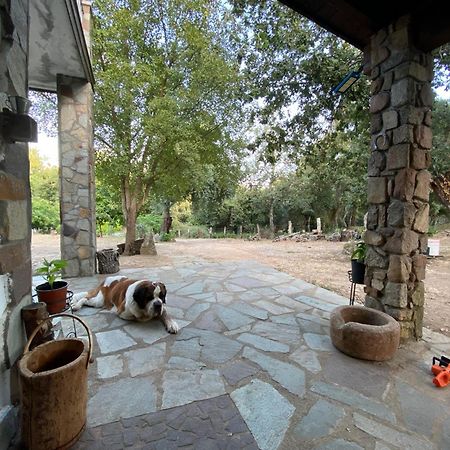 Agriturismo Pranu Sorgono Ngoại thất bức ảnh