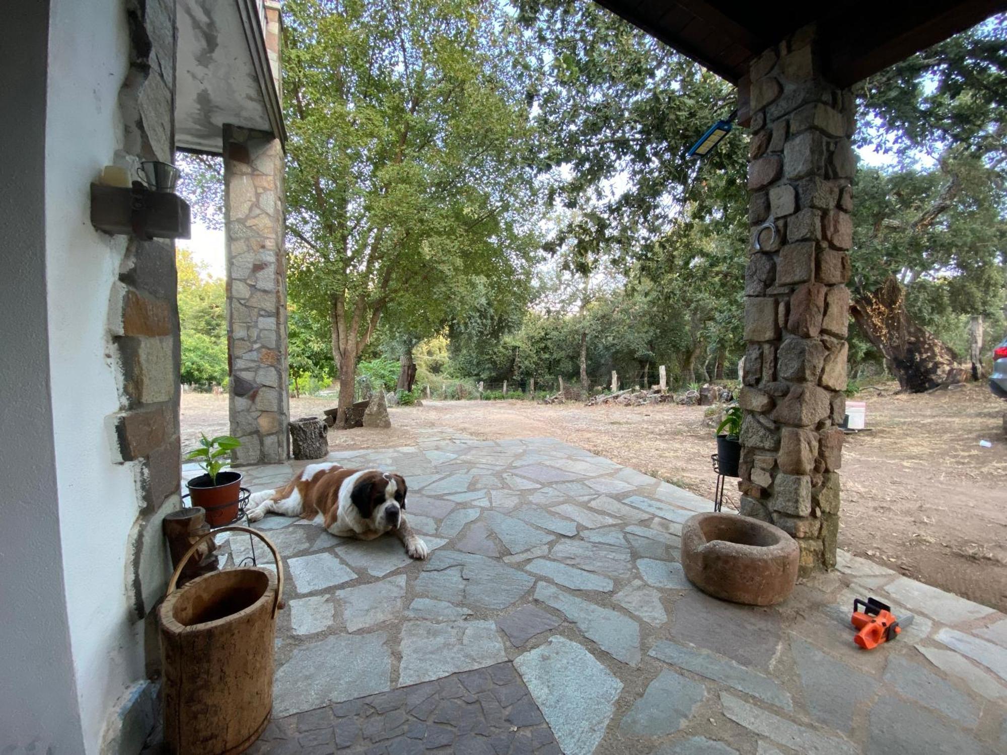 Agriturismo Pranu Sorgono Ngoại thất bức ảnh