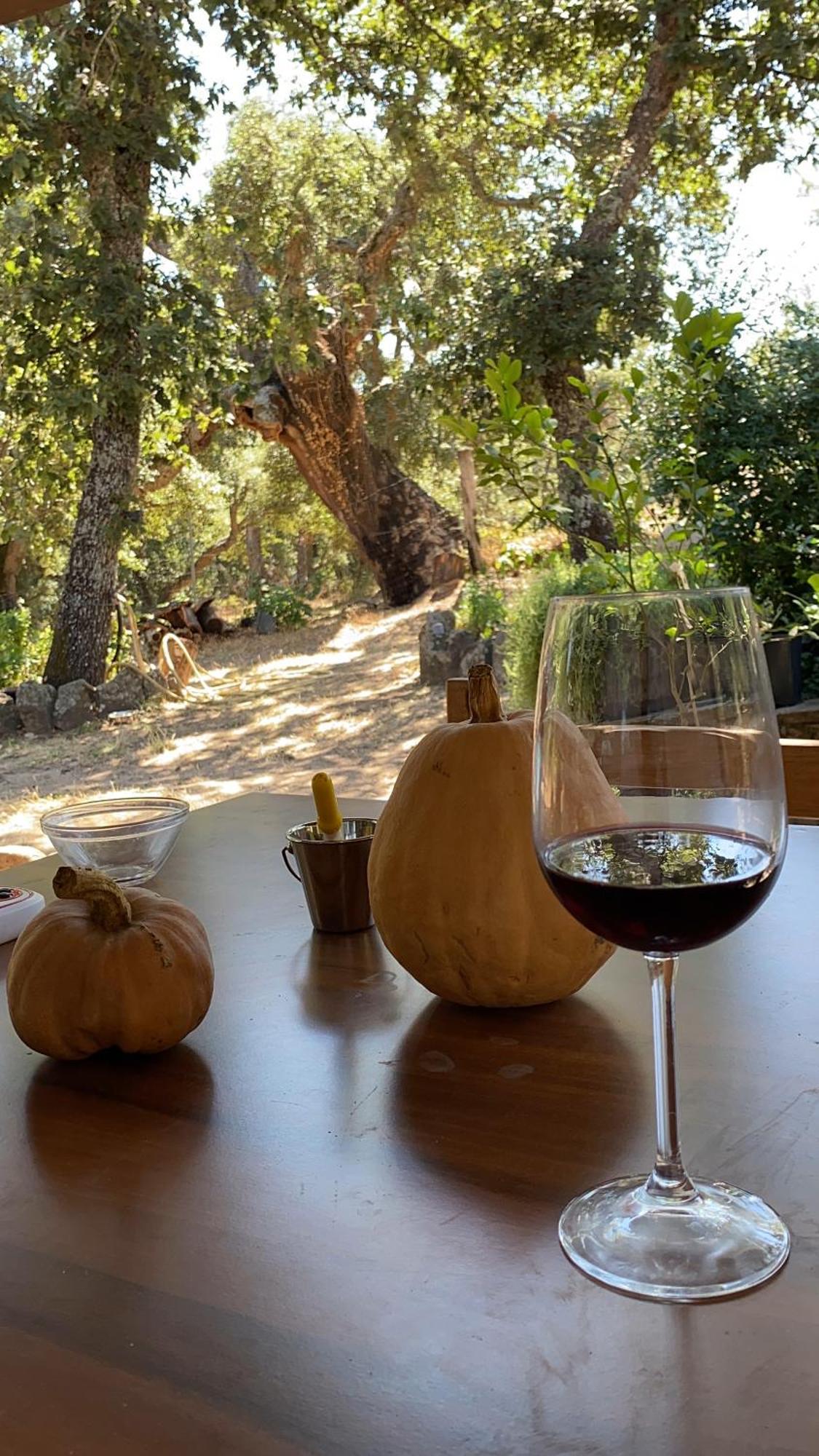 Agriturismo Pranu Sorgono Ngoại thất bức ảnh