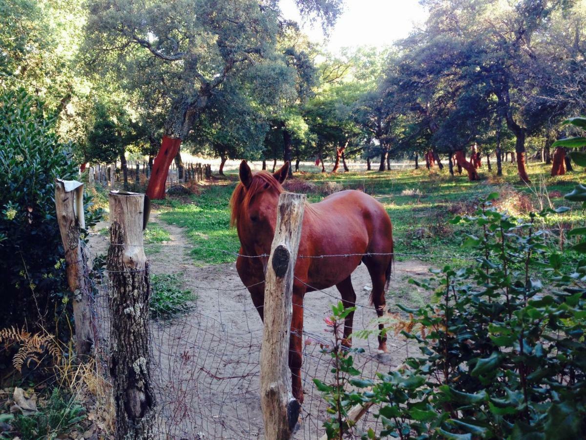 Agriturismo Pranu Sorgono Ngoại thất bức ảnh