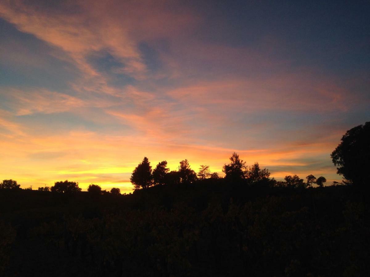 Agriturismo Pranu Sorgono Ngoại thất bức ảnh